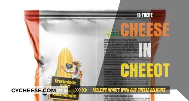 Is There Cheese in Cheetos? Unraveling the Mystery Behind the Crunch