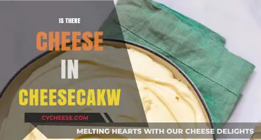 Is There Cheese in Cheesecake? Unraveling the Sweet Dairy Mystery