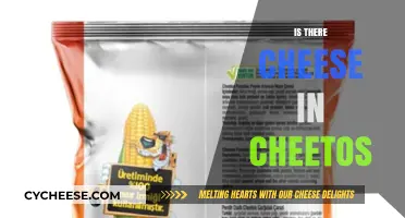Is There Cheese in Cheetos? Unraveling the Crunchy Mystery