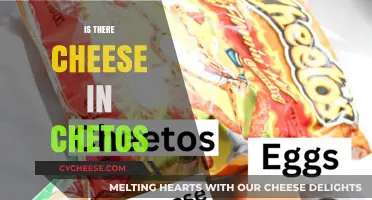 Cheetos Cheese Mystery: Unraveling the Ingredients in Your Favorite Snack