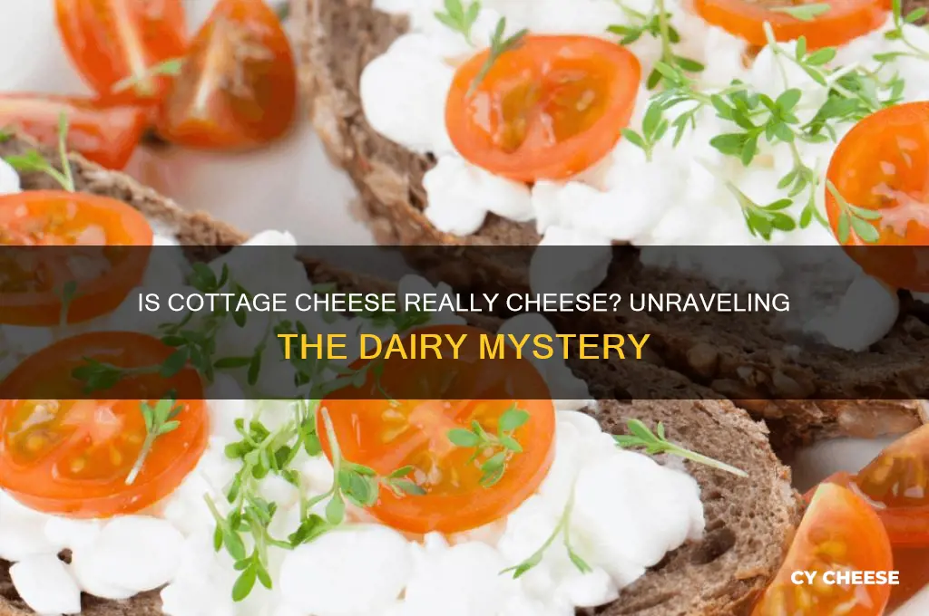 is there cheese in cottage cheese