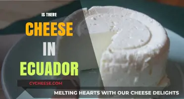 Exploring Ecuador's Dairy Delights: Is Cheese a Culinary Staple?