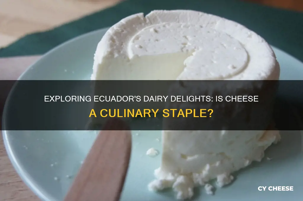 is there cheese in ecuador