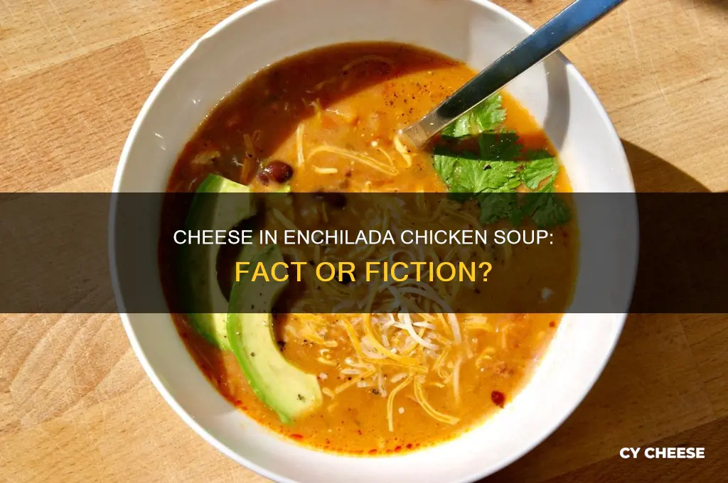 is there cheese in enchilad chicken and cheese soup