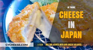 Exploring Japan's Dairy Scene: Does Cheese Exist in Japanese Cuisine?
