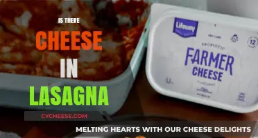 Does Lasagna Always Include Cheese? A Culinary Exploration