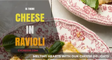Does Ravioli Contain Cheese? Unraveling the Stuffed Pasta Mystery