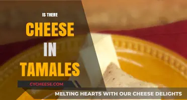 Do Tamales Contain Cheese? Unraveling the Ingredients Mystery