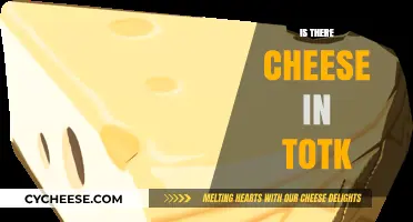 Does TotK Include Cheese? Unraveling the Mystery in Zelda's Latest Adventure