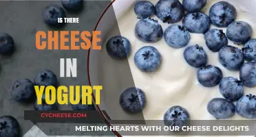 Is There Cheese in Yogurt? Unraveling the Dairy Mystery