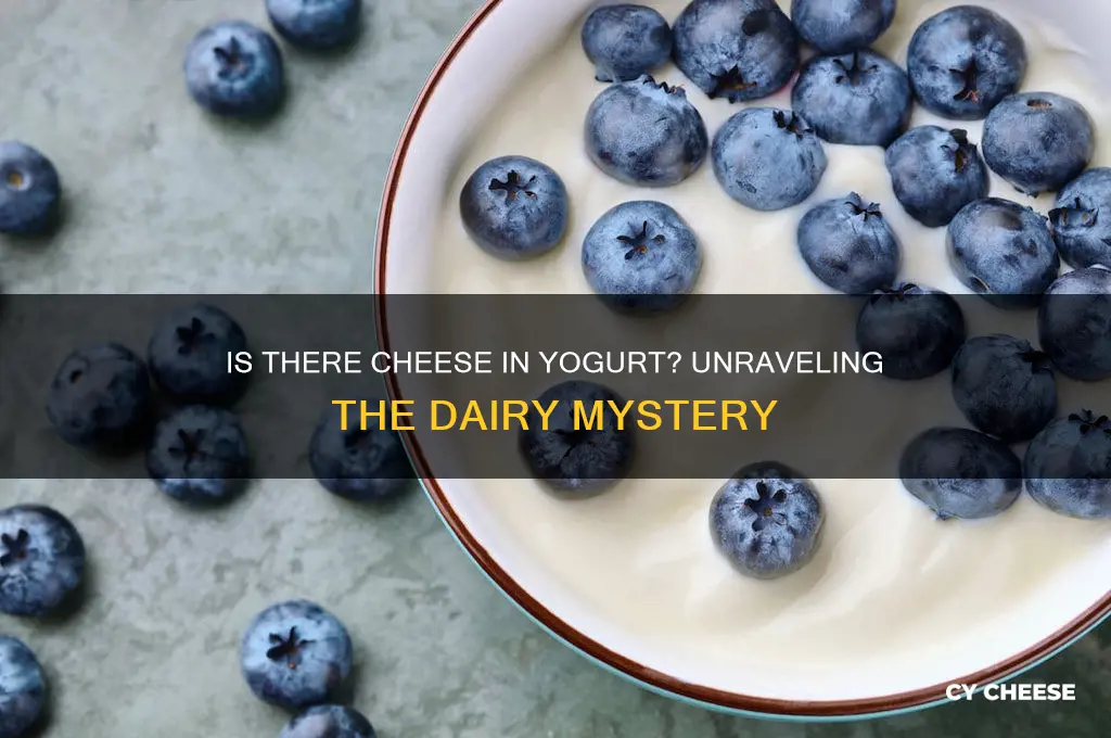 is there cheese in yogurt