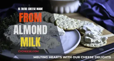 Almond Milk Cheese: A Tasty, Healthy Alternative?