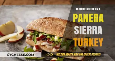 Does Panera's Sierra Turkey Sandwich Include Cheese? Find Out Here