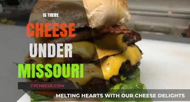 Is There Cheese Under Missouri? Unraveling the Myth and Mystery