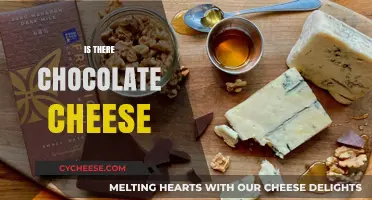 Chocolate Cheese: Myth or Reality? Exploring Sweet and Savory Combinations