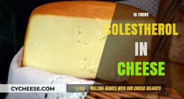 Does Cheese Contain Cholesterol? Uncovering the Truth About Dairy Fats
