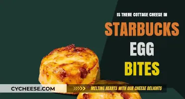 Starbucks Egg Bites Ingredients: Cottage Cheese or Not?