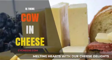 Is There Cow in Cheese? Unraveling the Dairy Mystery