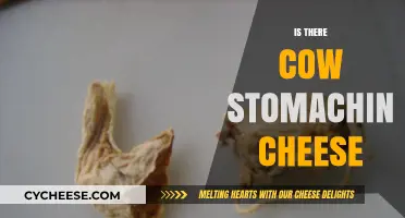 Is Cow Stomach Used in Cheese Making? Unraveling the Myth