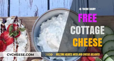 Dairy-Free Cottage Cheese: Exploring Plant-Based Alternatives for a Creamy Delight