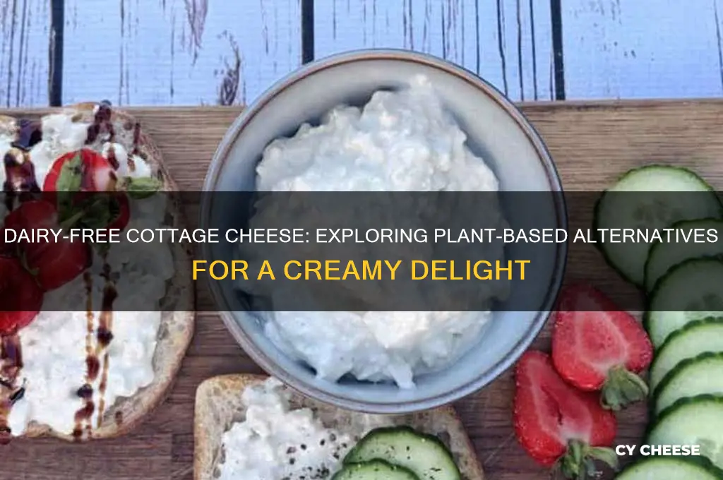 is there dairy free cottage cheese