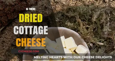 Exploring Dried Cottage Cheese: A Unique Snack Option or Myth?