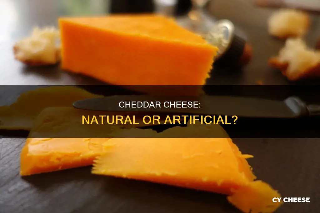 is there dye in cheddar cheese