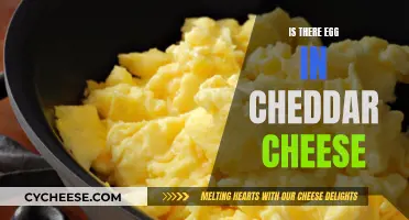 Egg-citing Discovery: Cheddar Cheese's Surprising Secret