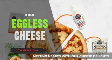 Exploring Eggless Cheese: Unraveling the Mystery of Egg-Free Dairy Options