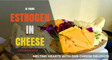 Does Cheese Contain Estrogen? Uncovering the Hormone Truth in Dairy