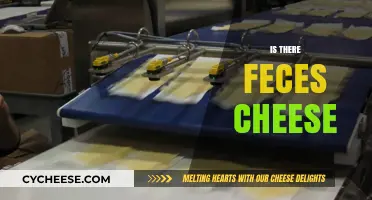Unraveling the Myth: Is There Really Feces in Cheese?