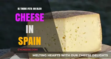 Spain's Cheese Scene: Feta or Bleu?