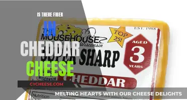 Cheddar Cheese: A Source of Fiber?