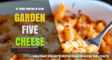 Does Olive Garden's Five Cheese Ziti Include Fontina Cheese?