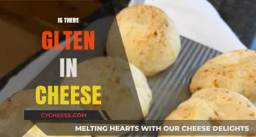 Is Cheese Gluten-Free? Unraveling the Truth About Gluten in Cheese