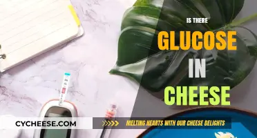Does Cheese Contain Glucose? Unraveling the Truth About Cheese's Sugar Content