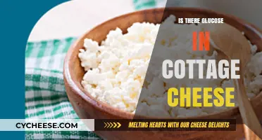 Does Cottage Cheese Contain Glucose? Uncovering the Nutritional Facts
