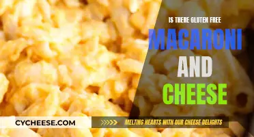 Gluten-Free Mac and Cheese: Delicious and Possible!