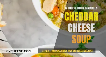 Unveiling the Gluten Mystery: Campbell's Cheddar Soup's Secret