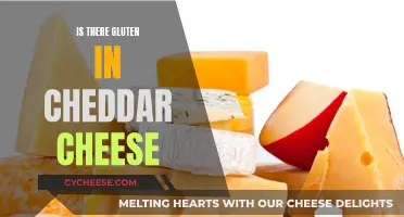 Gluten-Free Cheddar: Unveiling the Truth About Cheese and Gluten