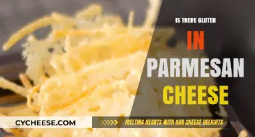 Gluten in Parmesan Cheese: What You Need to Know