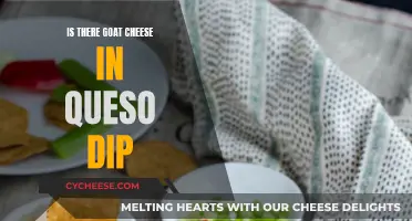 Goat Cheese in Queso Dip: What's the Deal?