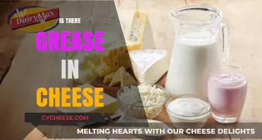 Is There Grease in Cheese? Uncovering the Truth About Dairy Fats
