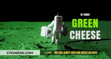 Is There Green Cheese? Unraveling the Myth of Lunar Dairy