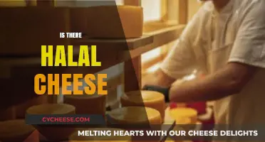 Exploring Halal Cheese: Ingredients, Production, and Certification Explained