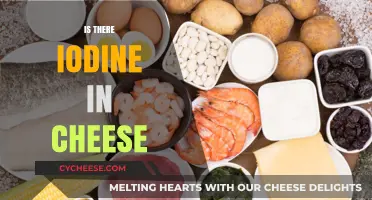 Does Cheese Contain Iodine? Uncovering the Truth About This Nutrient