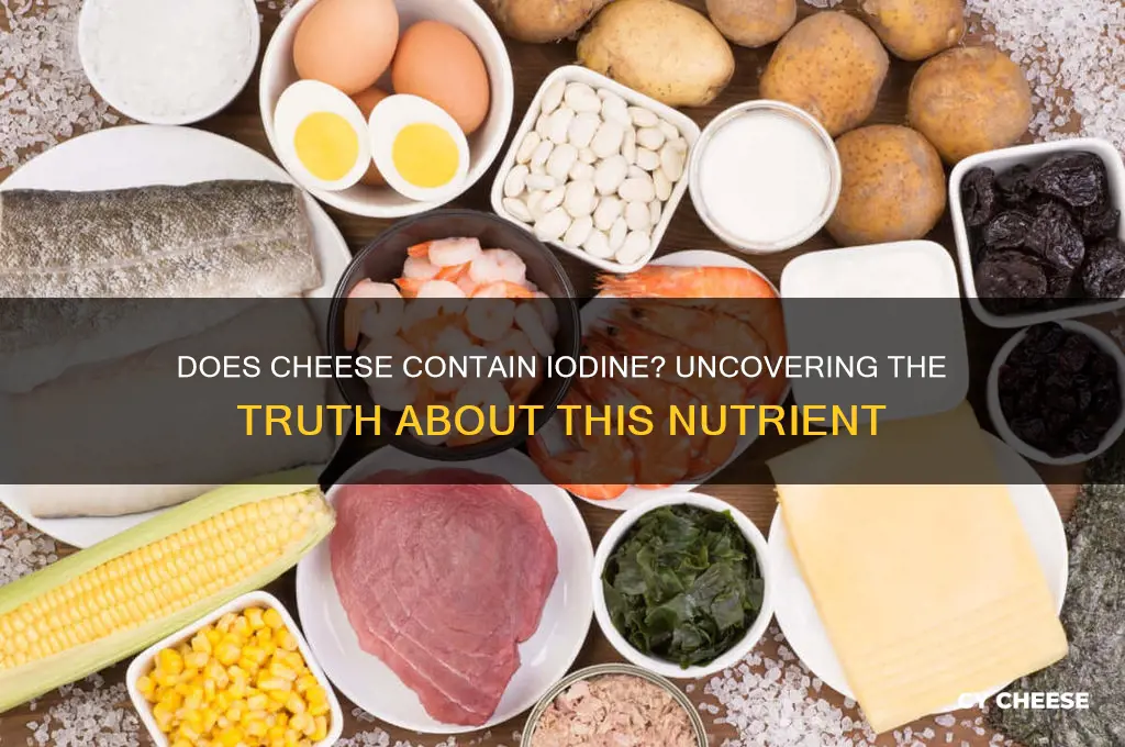 is there iodine in cheese