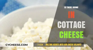 Cottage Cheese and Iodine: Uncovering the Hidden Nutrient Content