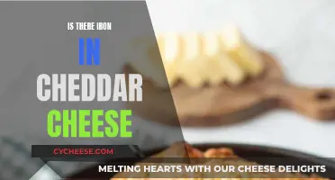 Iron in Cheddar Cheese: What You Need to Know