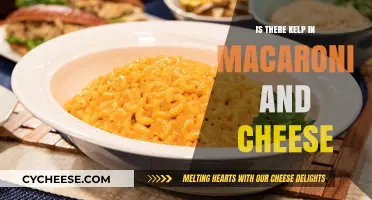 Mac and Cheese: Is Kelp a Secret Ingredient?